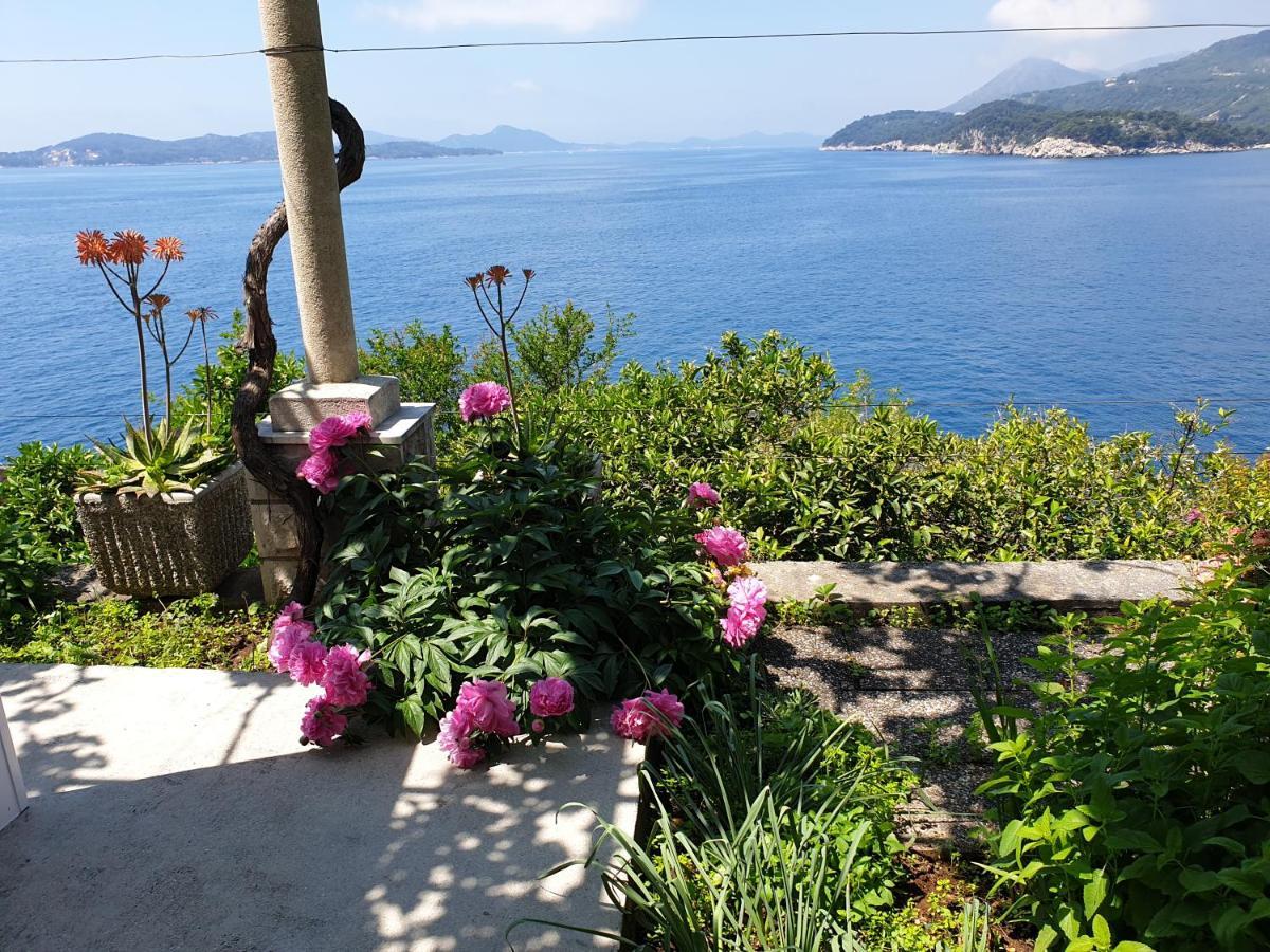 Apartments Bajo - Free Parking Dubrovnik Eksteriør bilde
