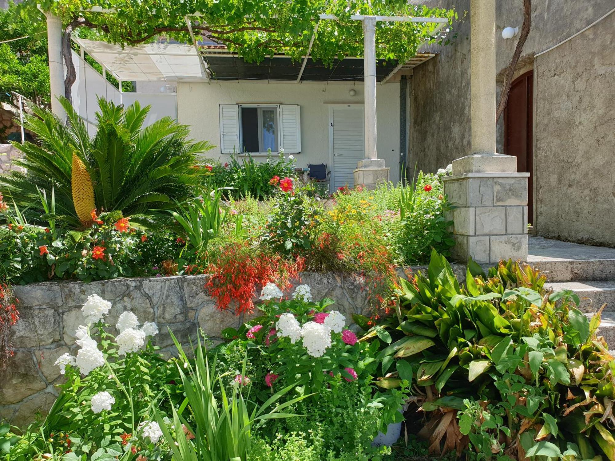 Apartments Bajo - Free Parking Dubrovnik Eksteriør bilde