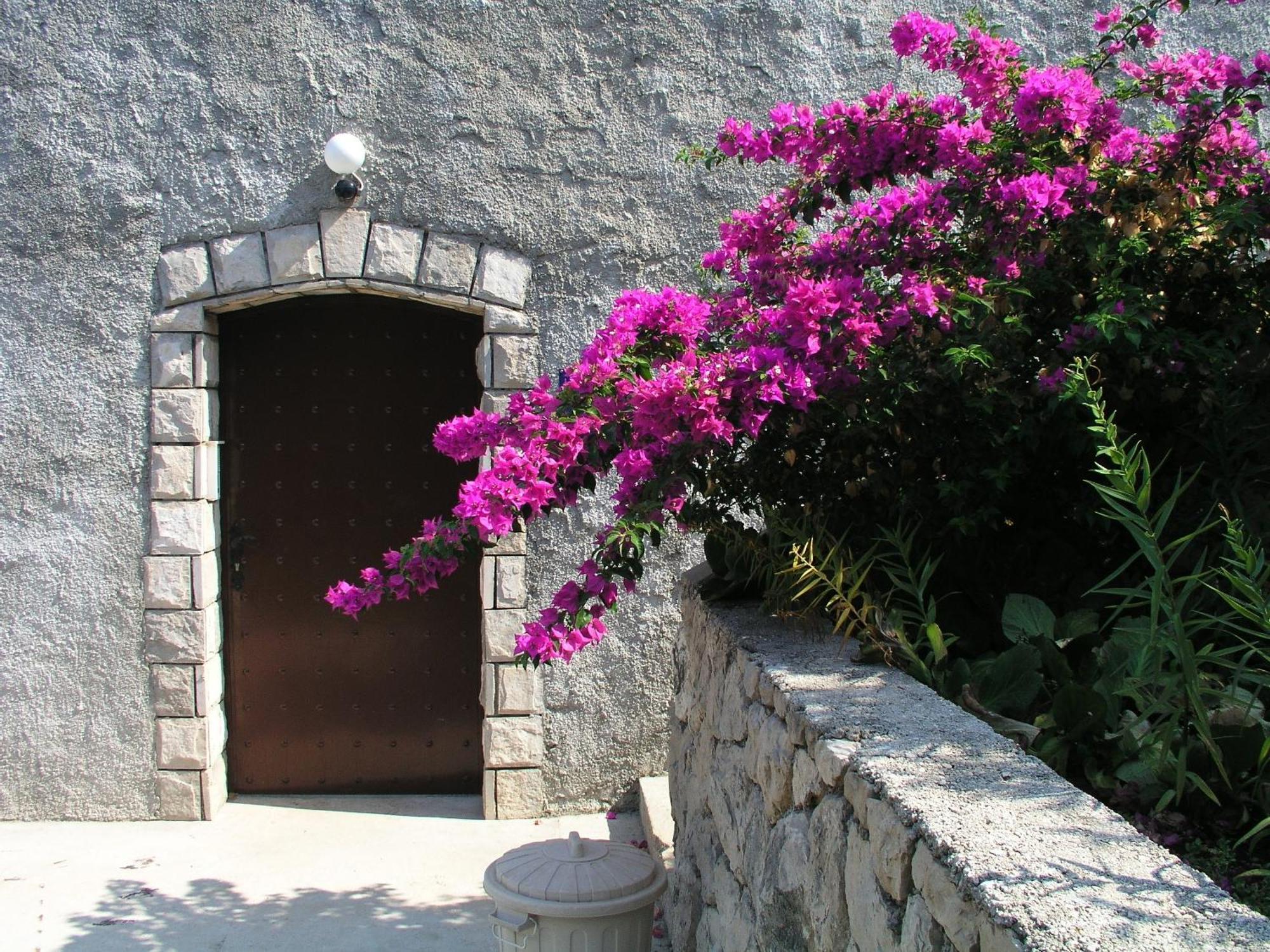 Apartments Bajo - Free Parking Dubrovnik Eksteriør bilde