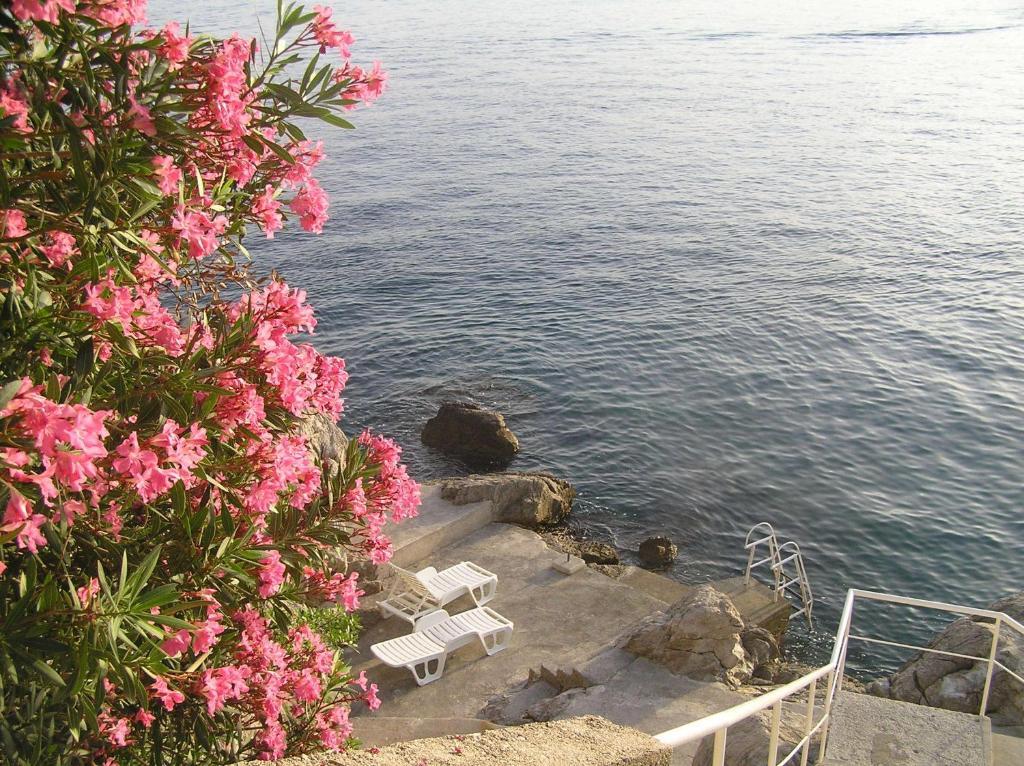 Apartments Bajo - Free Parking Dubrovnik Eksteriør bilde